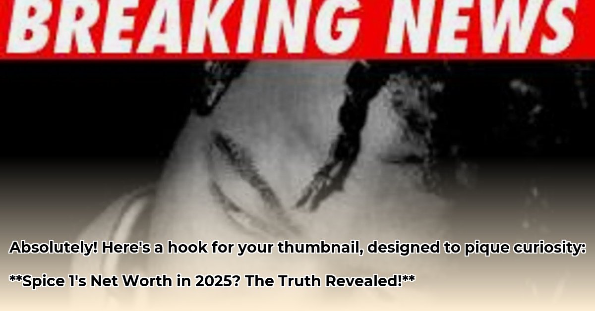 rapper-spice-1-net-worth